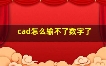 cad怎么输不了数字了