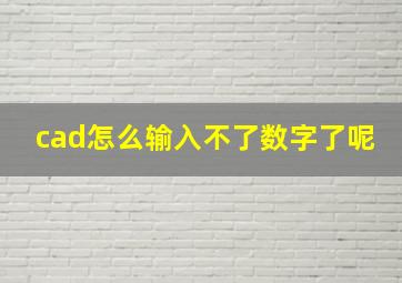 cad怎么输入不了数字了呢