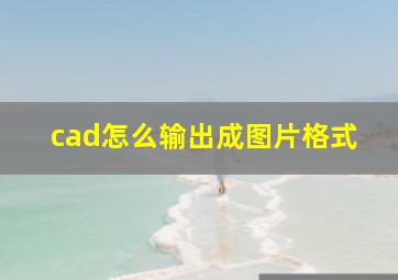 cad怎么输出成图片格式