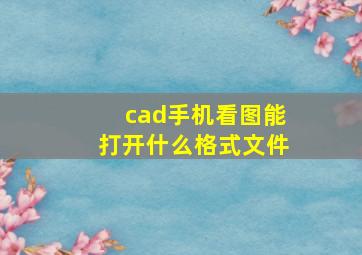 cad手机看图能打开什么格式文件