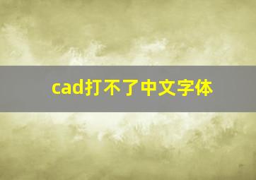 cad打不了中文字体