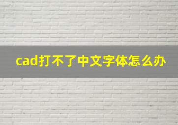 cad打不了中文字体怎么办