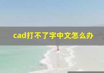 cad打不了字中文怎么办