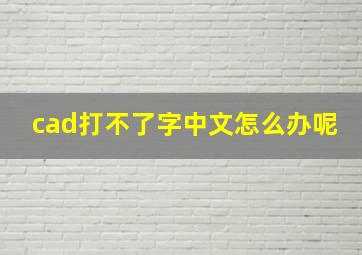 cad打不了字中文怎么办呢