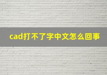 cad打不了字中文怎么回事