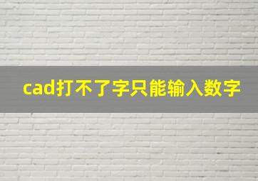 cad打不了字只能输入数字