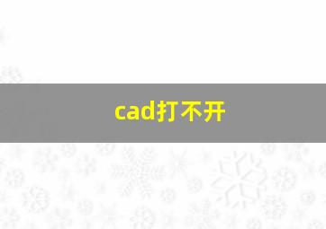 cad打不开