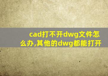 cad打不开dwg文件怎么办,其他的dwg都能打开