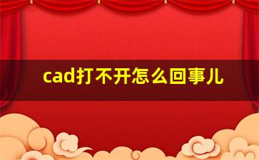 cad打不开怎么回事儿