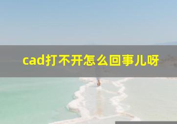 cad打不开怎么回事儿呀