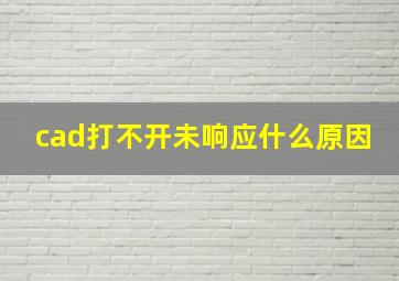 cad打不开未响应什么原因