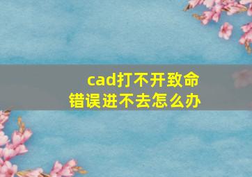 cad打不开致命错误进不去怎么办