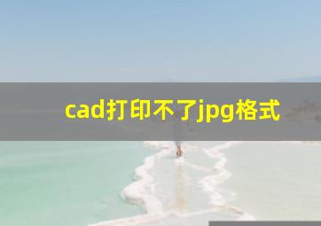 cad打印不了jpg格式