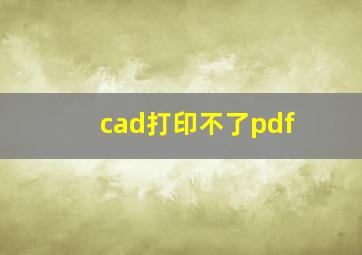 cad打印不了pdf