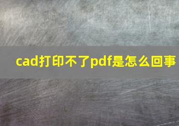 cad打印不了pdf是怎么回事