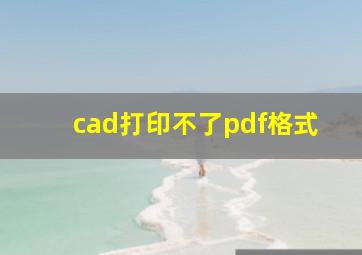 cad打印不了pdf格式