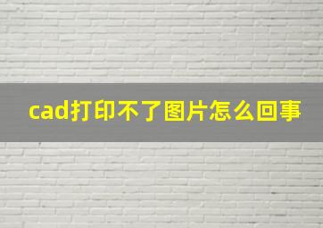 cad打印不了图片怎么回事