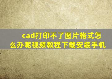 cad打印不了图片格式怎么办呢视频教程下载安装手机