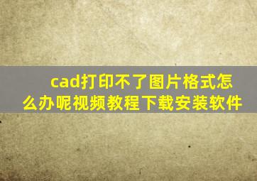 cad打印不了图片格式怎么办呢视频教程下载安装软件