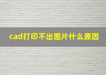 cad打印不出图片什么原因