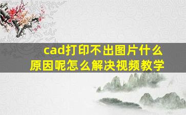 cad打印不出图片什么原因呢怎么解决视频教学