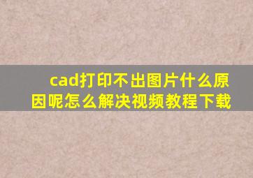 cad打印不出图片什么原因呢怎么解决视频教程下载