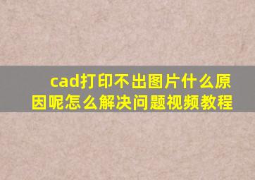 cad打印不出图片什么原因呢怎么解决问题视频教程