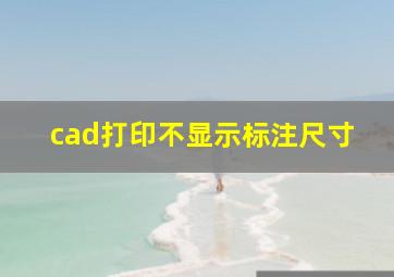 cad打印不显示标注尺寸