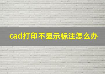 cad打印不显示标注怎么办