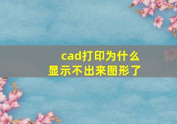 cad打印为什么显示不出来图形了