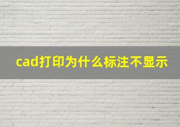 cad打印为什么标注不显示