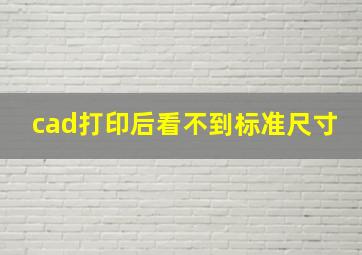 cad打印后看不到标准尺寸