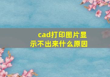 cad打印图片显示不出来什么原因