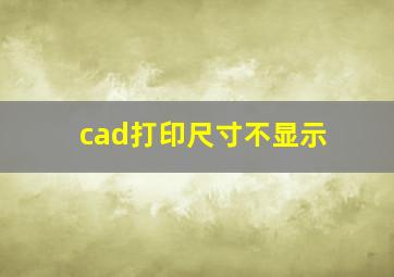 cad打印尺寸不显示