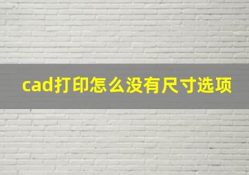 cad打印怎么没有尺寸选项