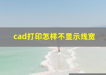 cad打印怎样不显示线宽