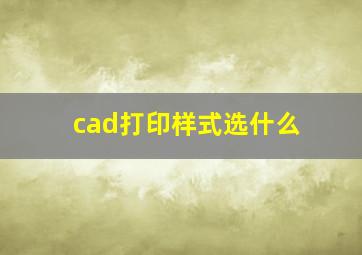 cad打印样式选什么