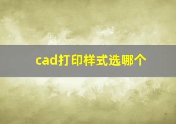 cad打印样式选哪个