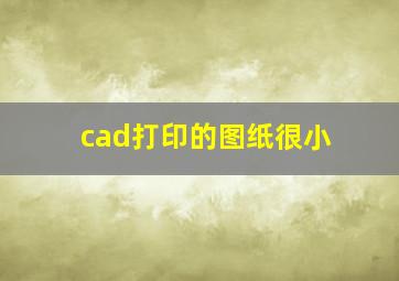 cad打印的图纸很小