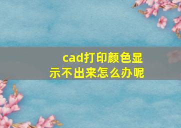 cad打印颜色显示不出来怎么办呢