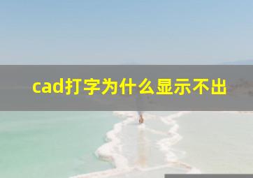 cad打字为什么显示不出