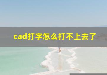 cad打字怎么打不上去了