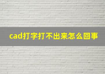 cad打字打不出来怎么回事