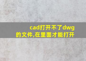 cad打开不了dwg的文件,在里面才能打开