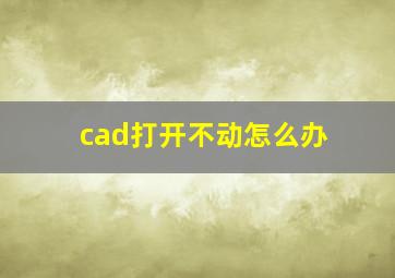 cad打开不动怎么办