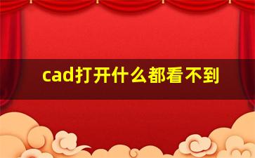 cad打开什么都看不到