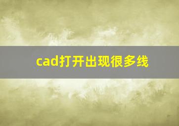 cad打开出现很多线