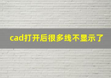 cad打开后很多线不显示了