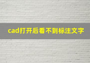 cad打开后看不到标注文字