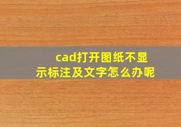 cad打开图纸不显示标注及文字怎么办呢